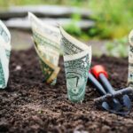 How venture capitalists evaluate early stage startups