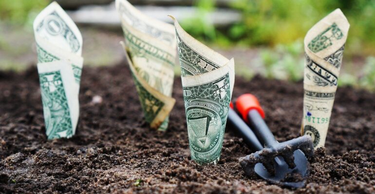How venture capitalists evaluate early stage startups