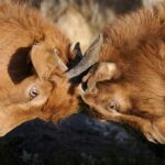 How to find & know about your competitors in the market?