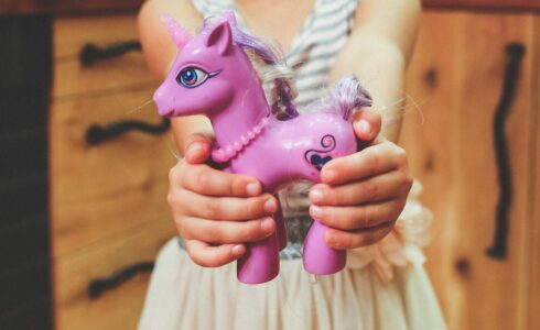 How to build a unicorn company?