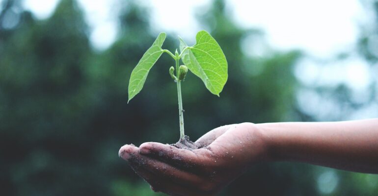 Grow model for leadership