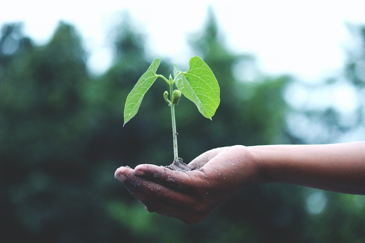 Grow model for leadership