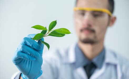 No one knows anything in the startup vc ecosystem