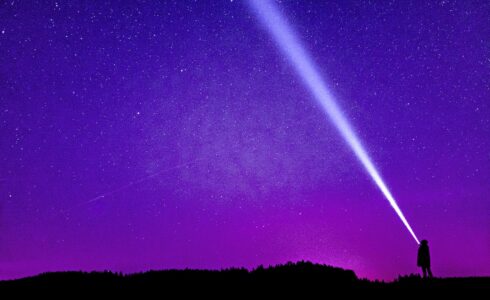 Startup north star metric