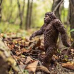 Building your startup - evolution vs disruption