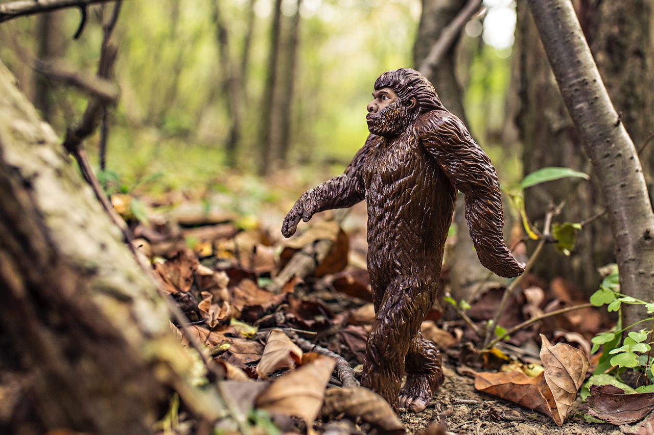 Building your startup - evolution vs disruption