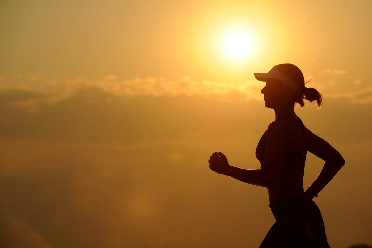 startup mental health and wellness