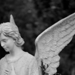 angel investing vs venture capital