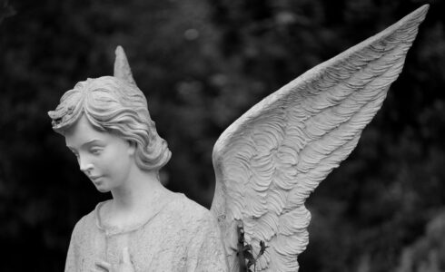 angel investing vs venture capital