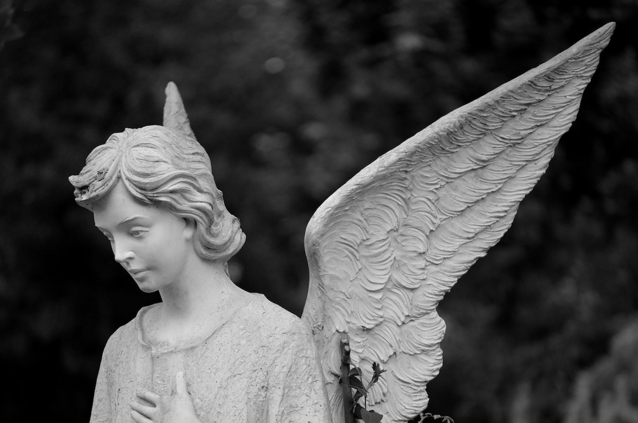 angel investing vs venture capital