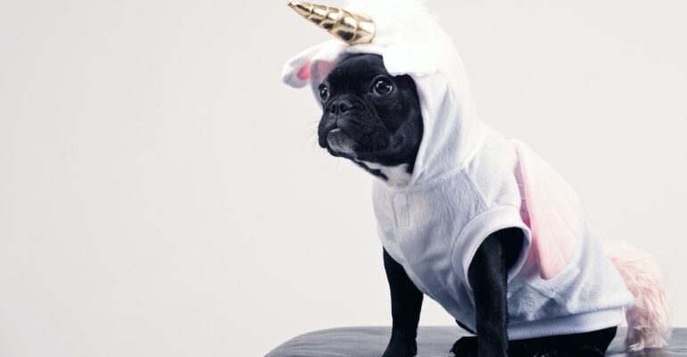 15 unicorn startup ideas