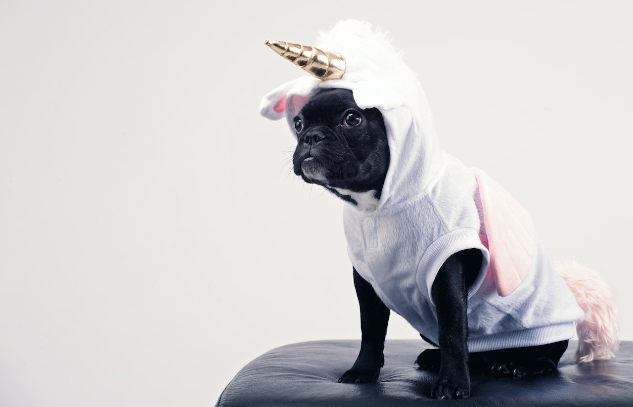 15 unicorn startup ideas