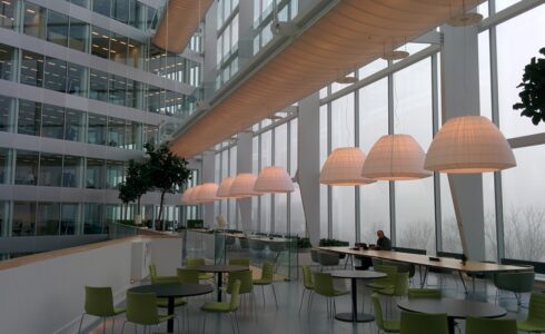 Why did WeWork fail?