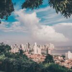 what is a startup ecosystem
