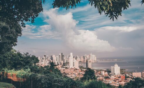 what is a startup ecosystem