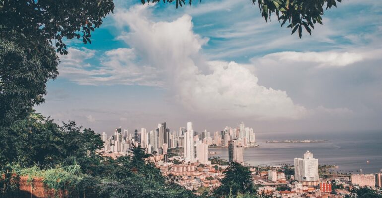 what is a startup ecosystem