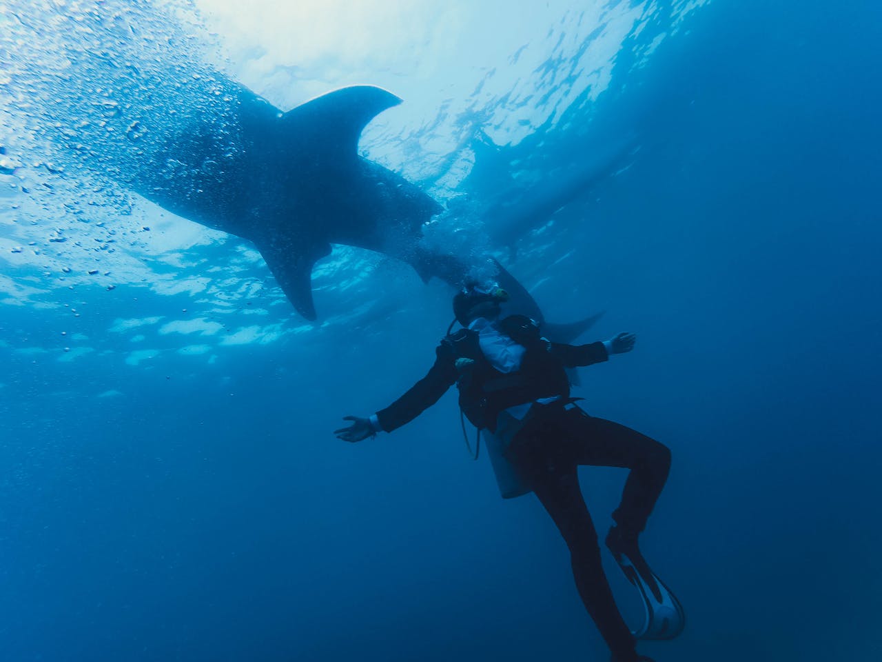 10 Things 'Shark Tank' Investors Look For