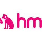 Why HMV failed?