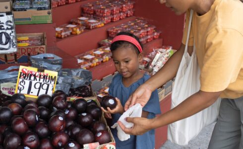 how many mom pop stores in USA