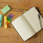 idea stage startup