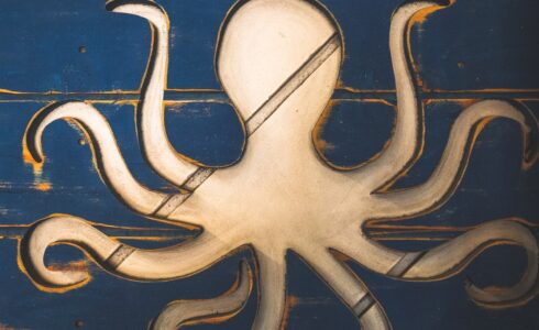 octopus business model