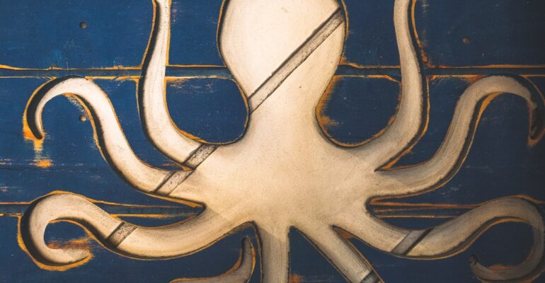 octopus business model