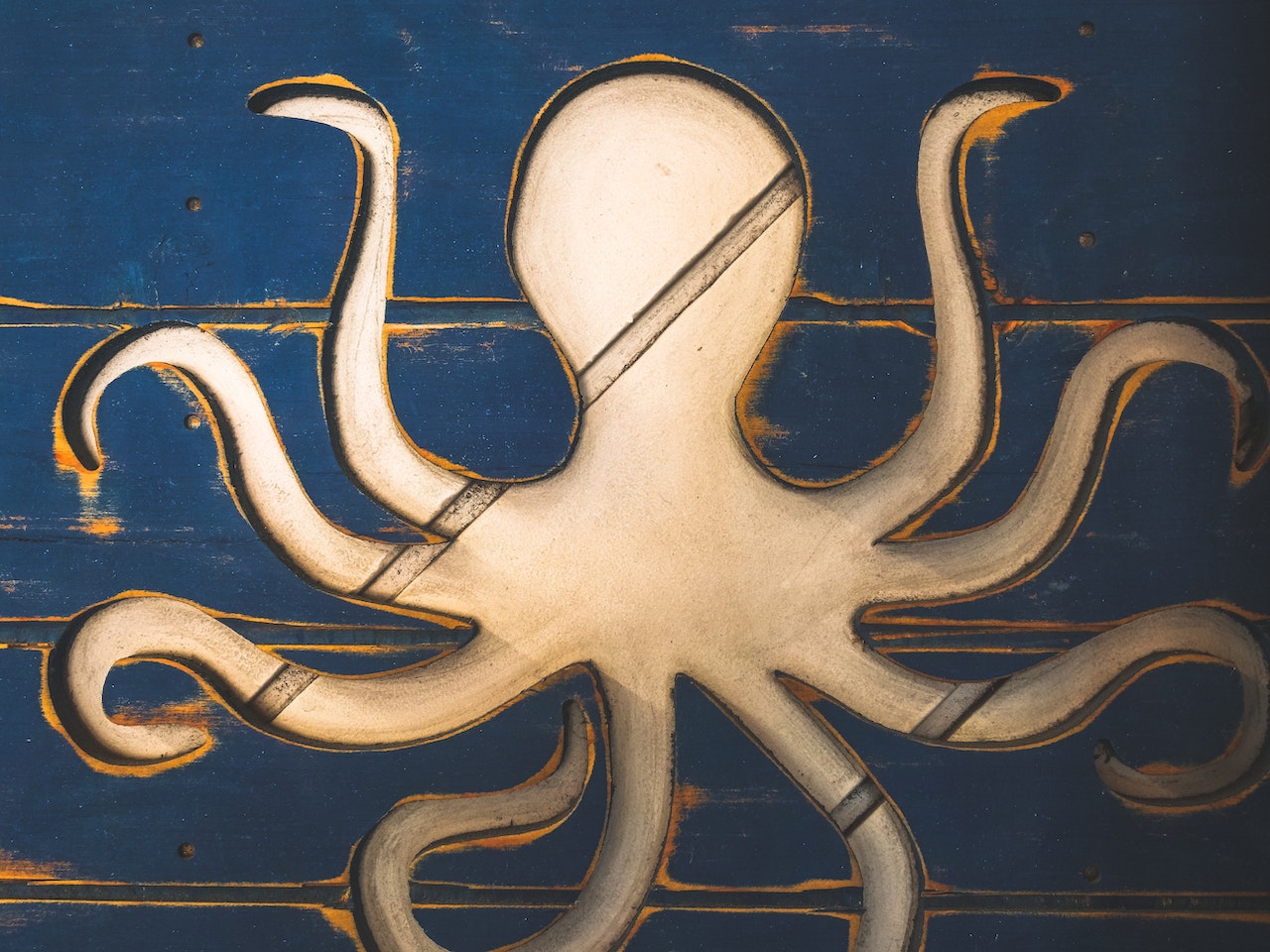 octopus business model