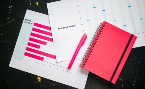 what is a revenue manager