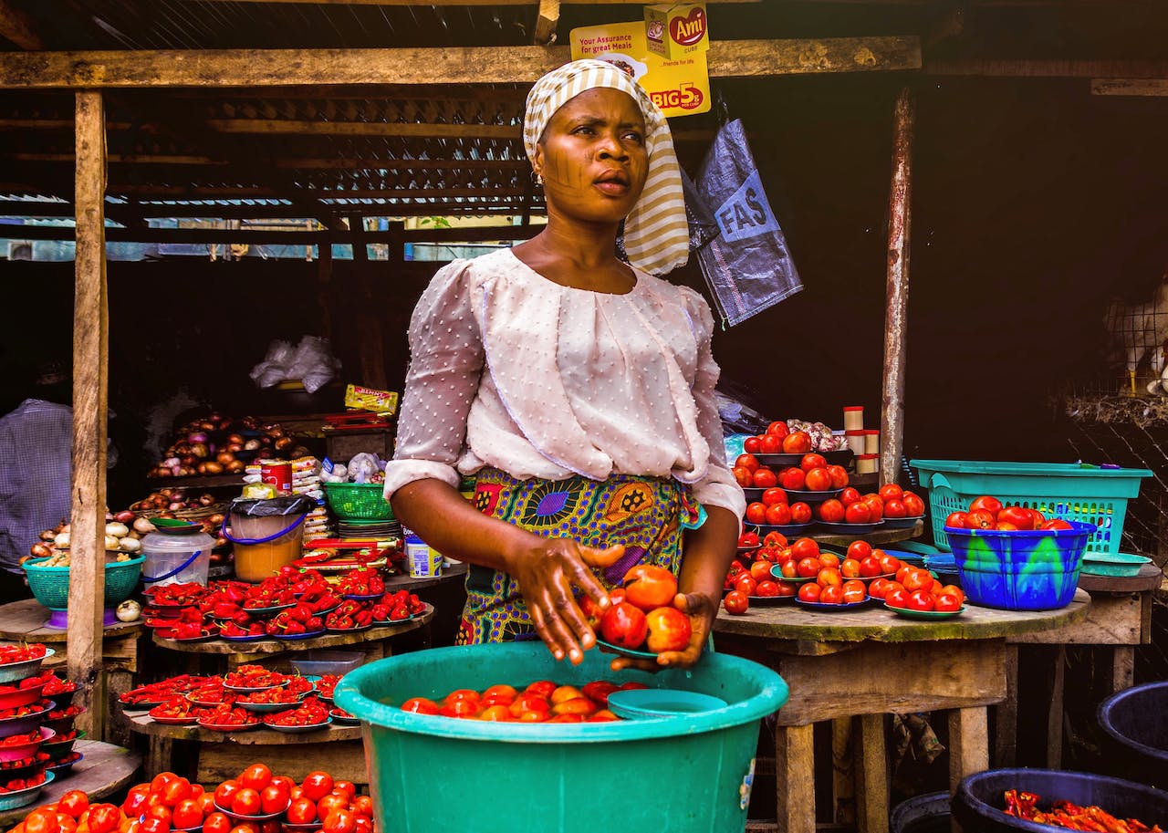 Fostering Entrepreneurship in Developing Countries