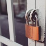 lock in business model