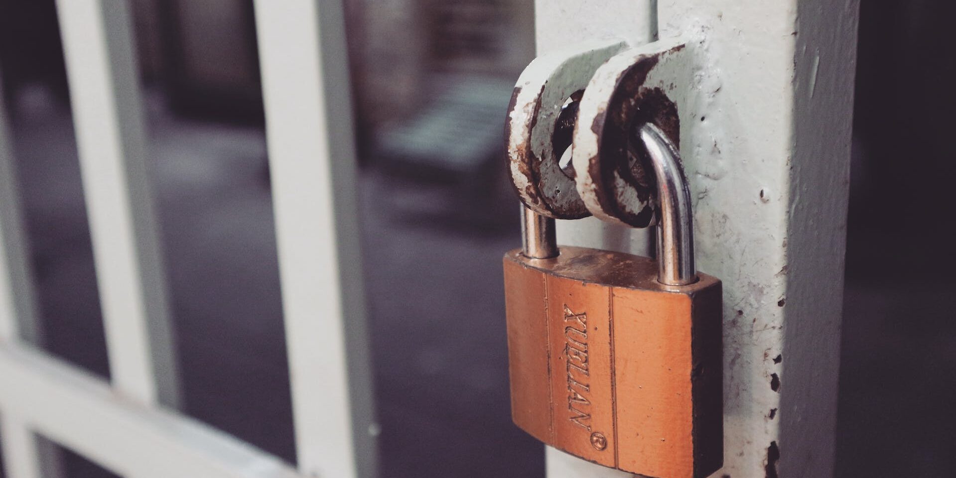 lock in business model
