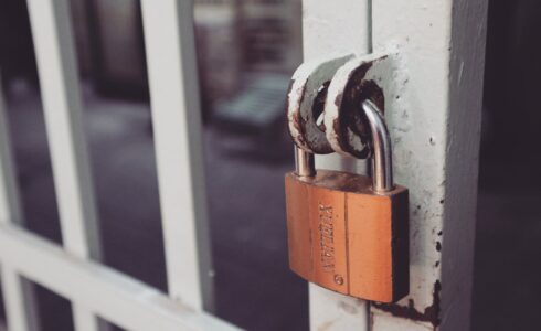 lock in business model