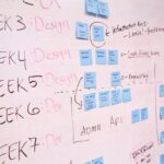 startup soft launch