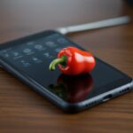 why didi peppertap fail?