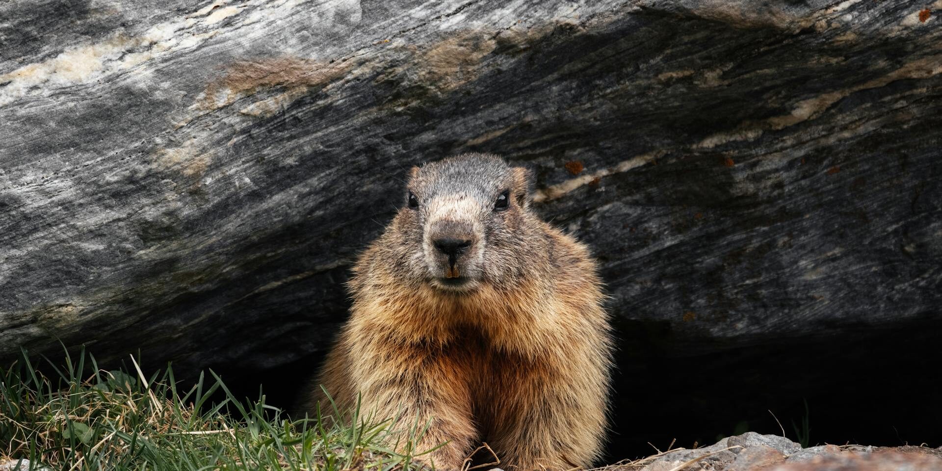 10 Business Lessons from Groundhog Day