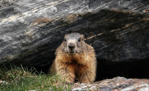 10 Business Lessons from Groundhog Day
