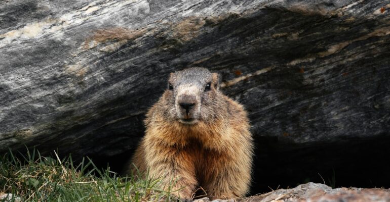 10 Business Lessons from Groundhog Day