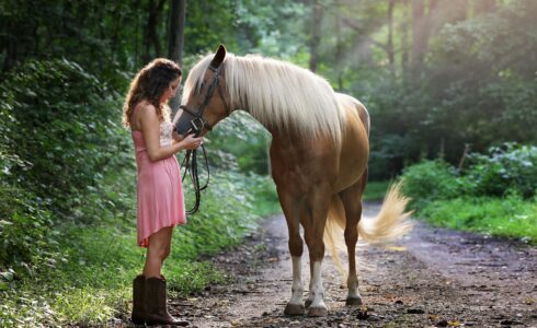 25 pet startup ideas