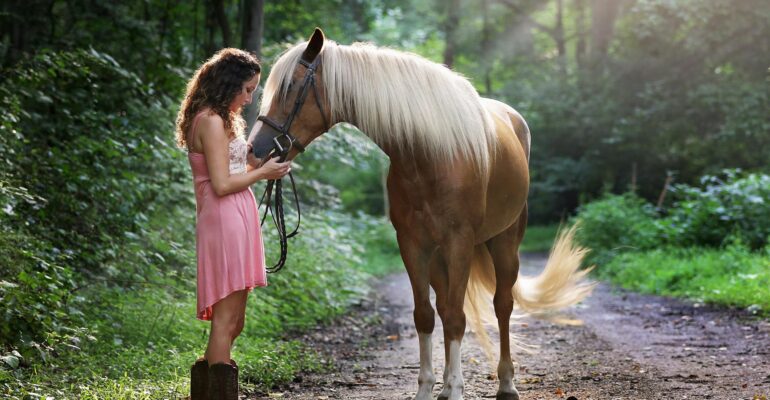 25 pet startup ideas